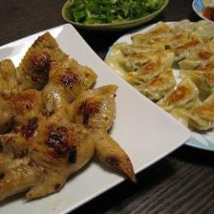 ボリューム満点手羽餃子&餃子!